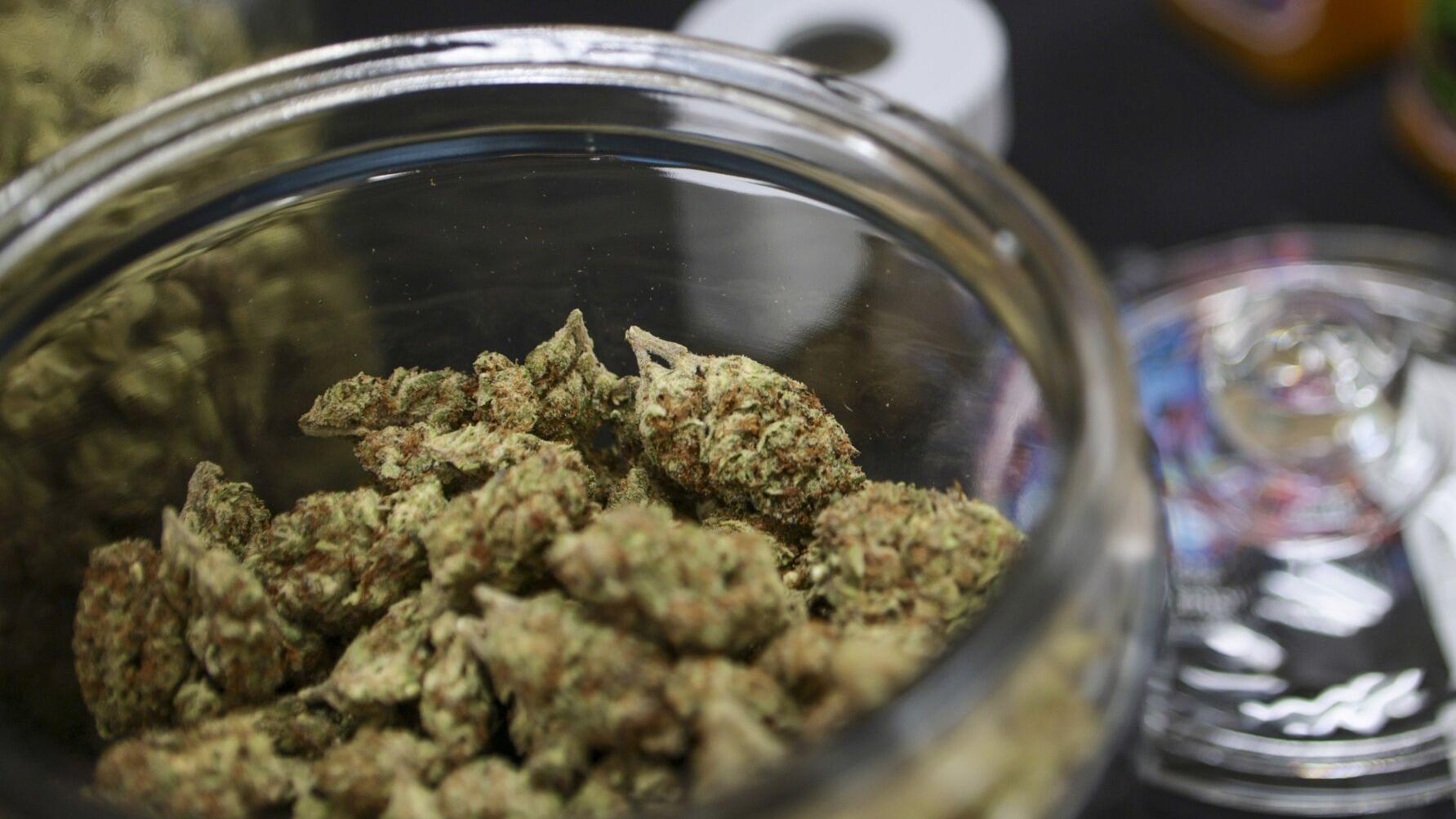 St. Louis couple grinds up marijuana waste so companies don’t have to